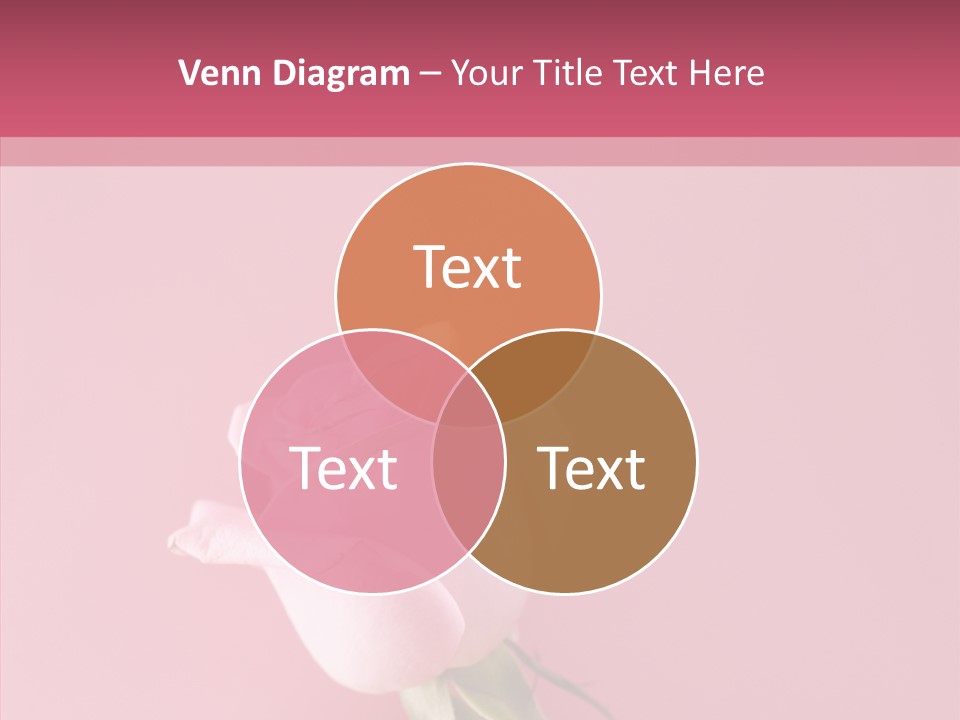 Anniversary Blossom Human PowerPoint Template