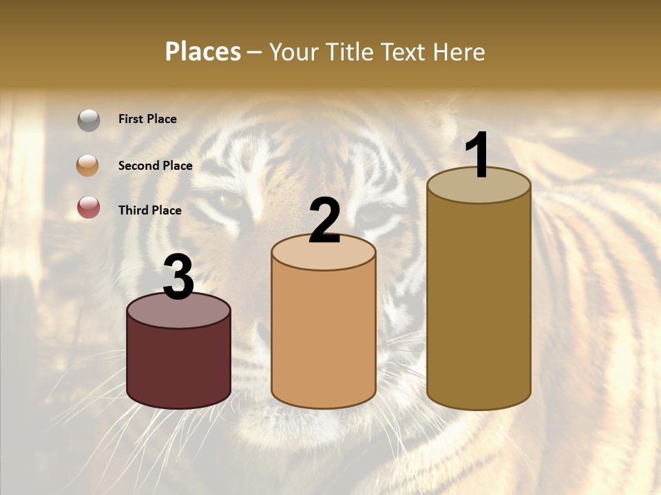 Zoo Feline Bengal PowerPoint Template