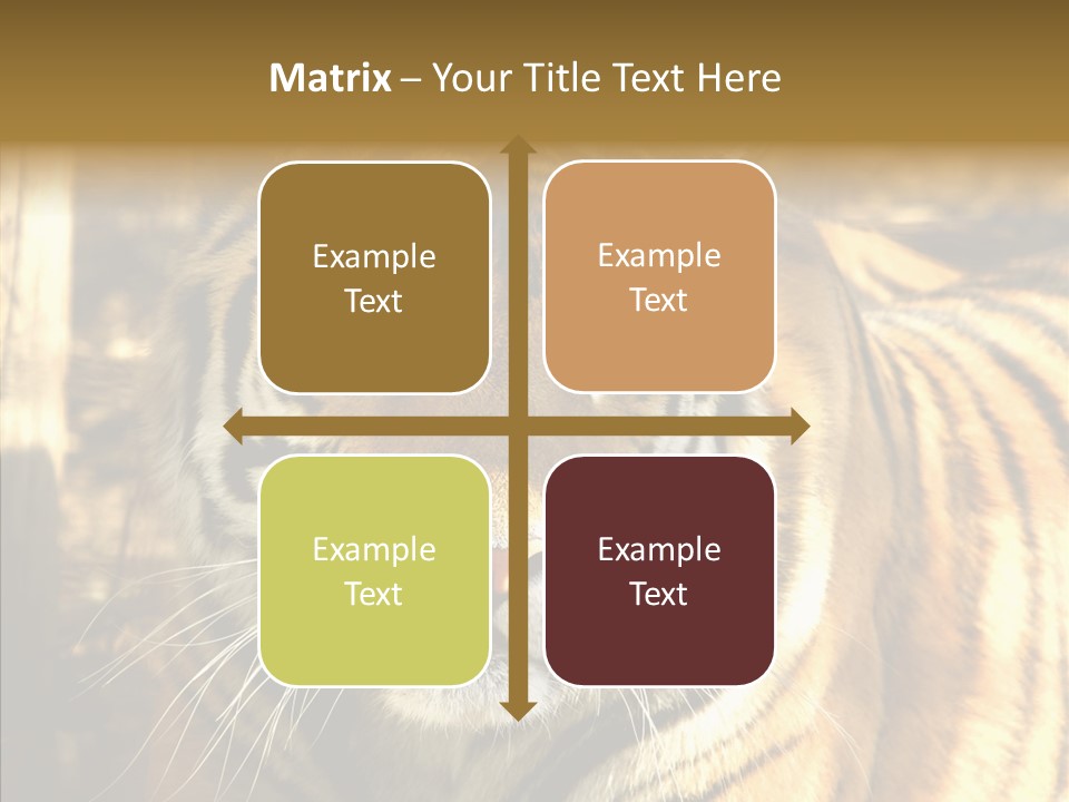 Zoo Feline Bengal PowerPoint Template