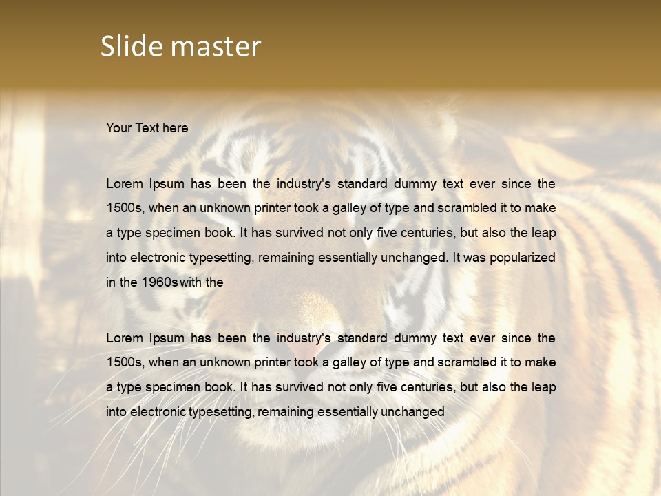 Zoo Feline Bengal PowerPoint Template