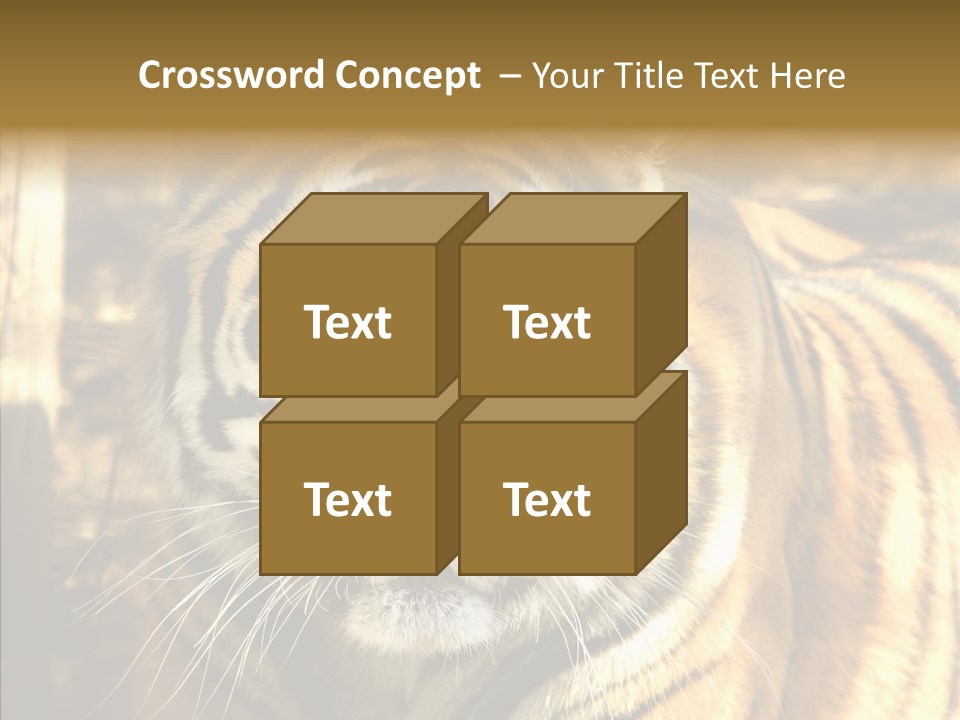 Zoo Feline Bengal PowerPoint Template