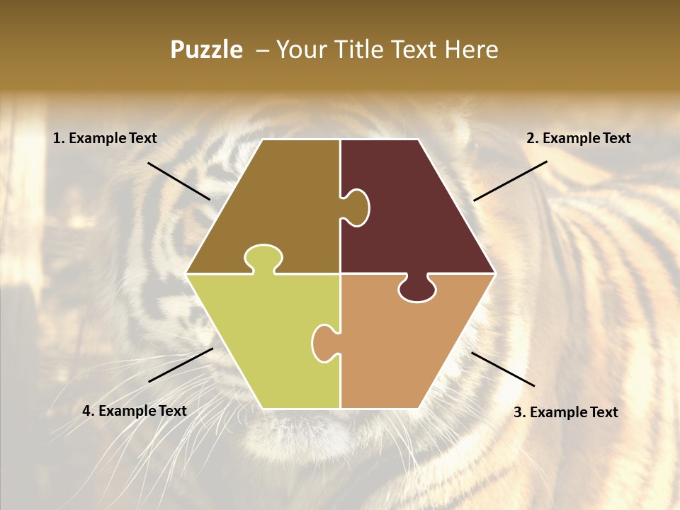 Zoo Feline Bengal PowerPoint Template
