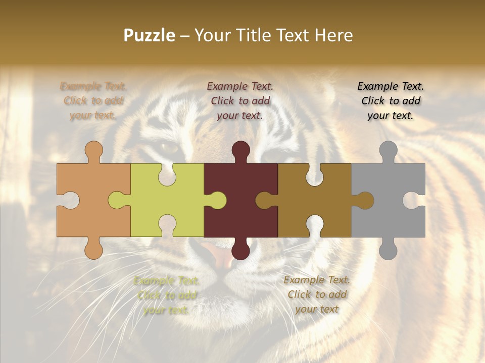 Zoo Feline Bengal PowerPoint Template
