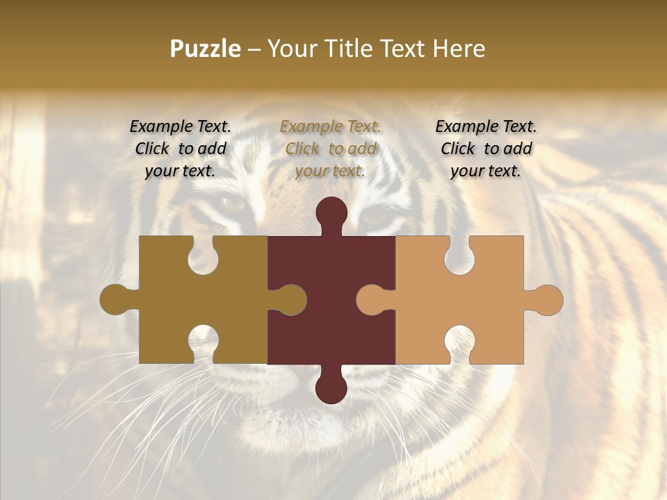 Zoo Feline Bengal PowerPoint Template