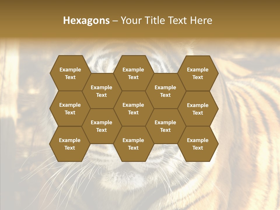 Zoo Feline Bengal PowerPoint Template