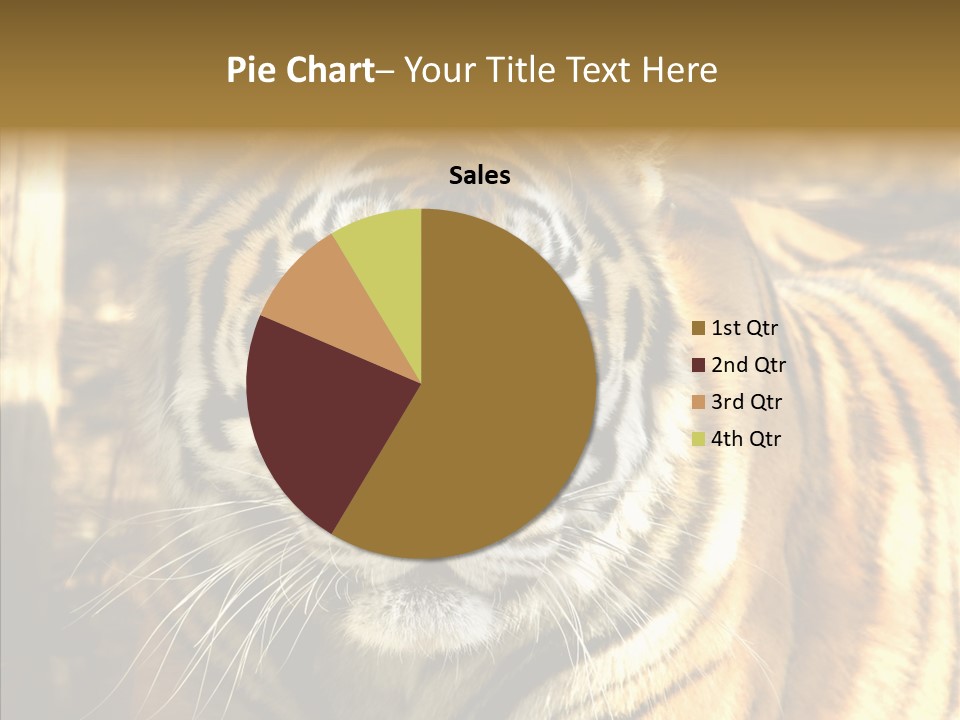 Zoo Feline Bengal PowerPoint Template