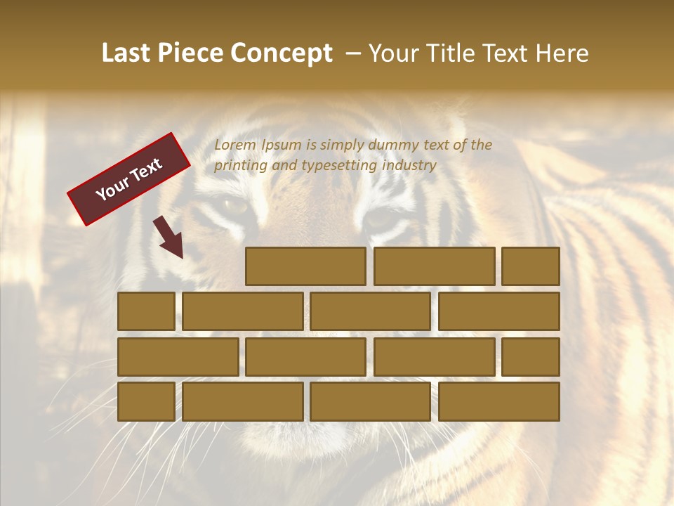 Zoo Feline Bengal PowerPoint Template