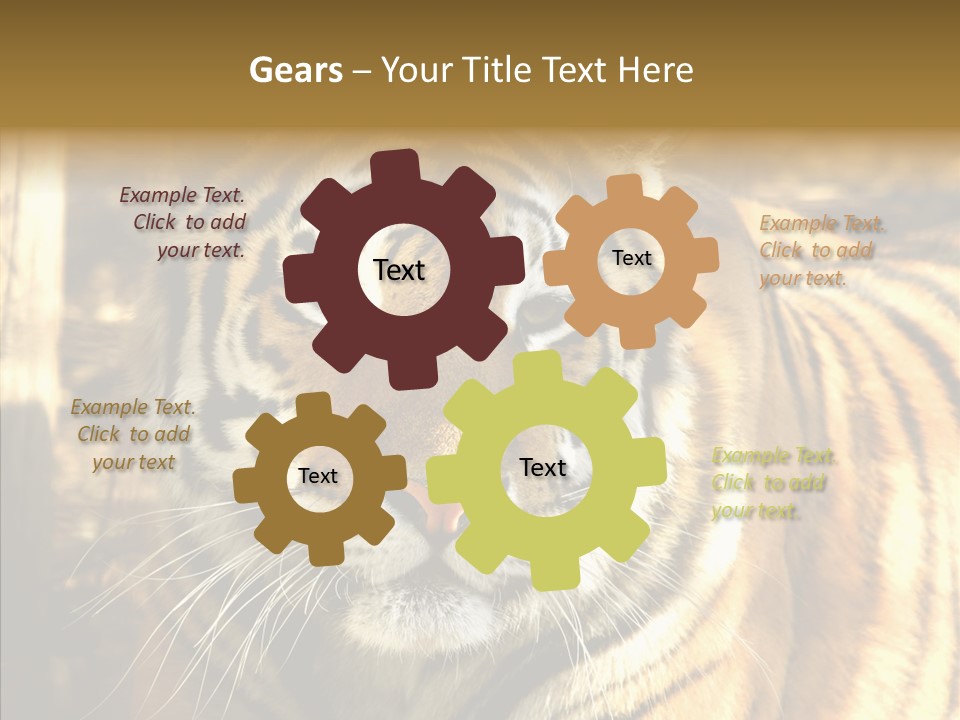 Zoo Feline Bengal PowerPoint Template