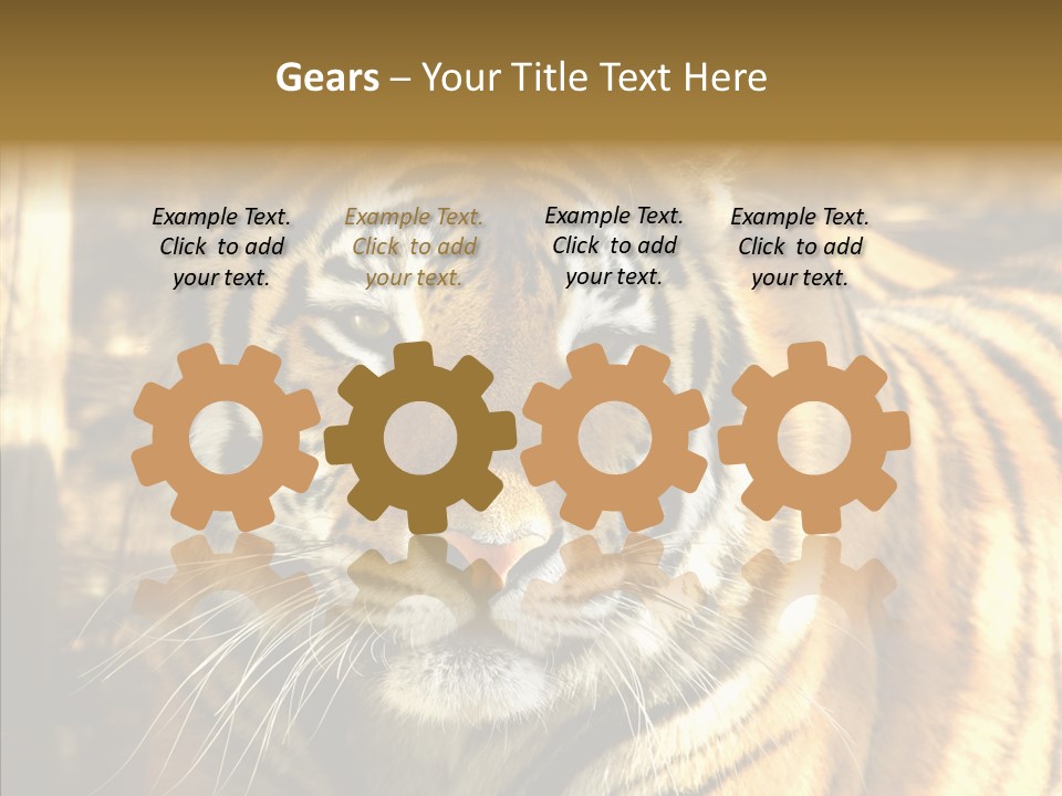 Zoo Feline Bengal PowerPoint Template