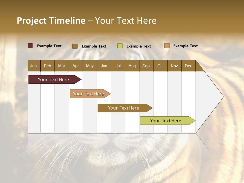 Zoo Feline Bengal PowerPoint Template