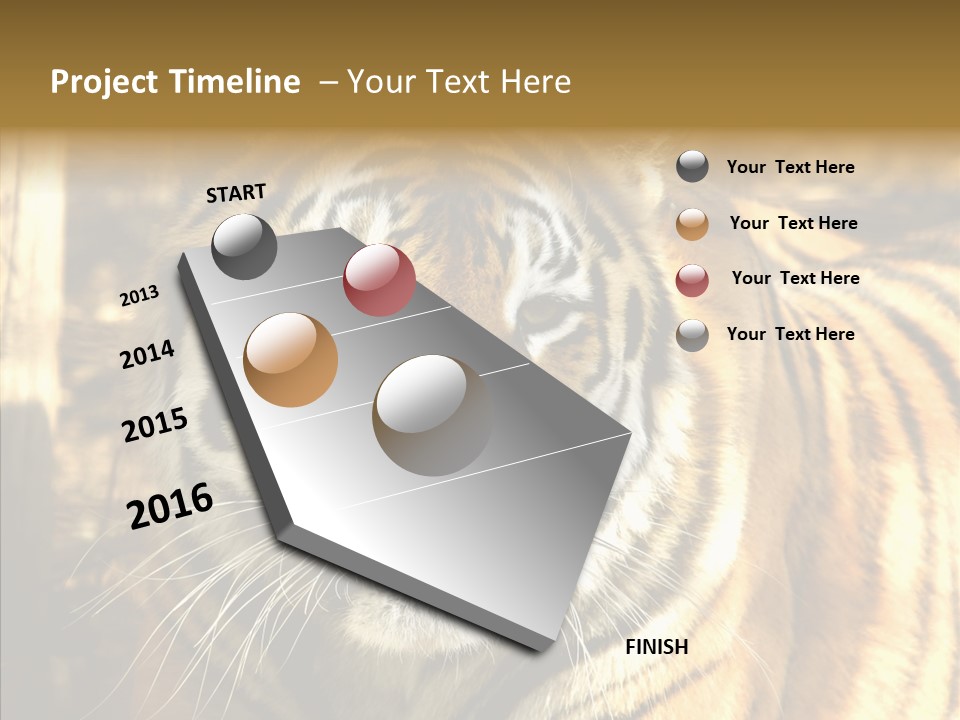 Zoo Feline Bengal PowerPoint Template