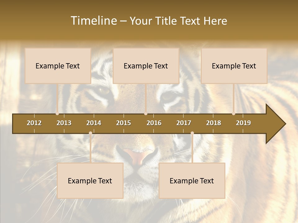 Zoo Feline Bengal PowerPoint Template