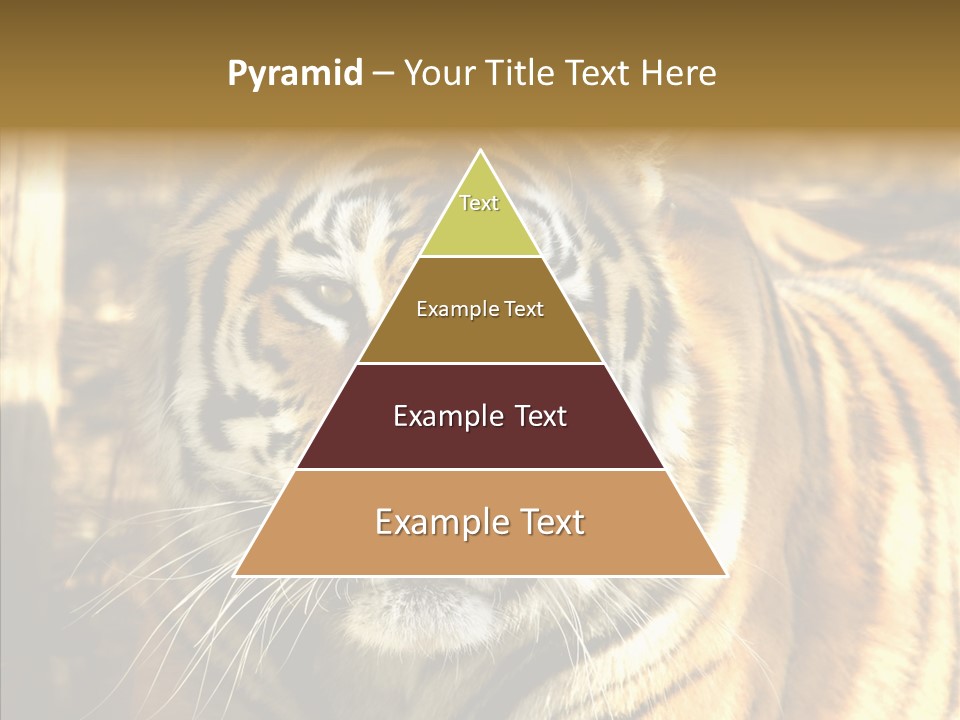 Zoo Feline Bengal PowerPoint Template