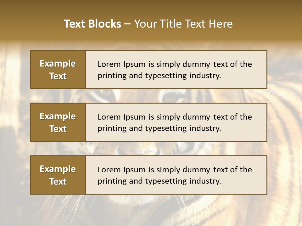 Zoo Feline Bengal PowerPoint Template