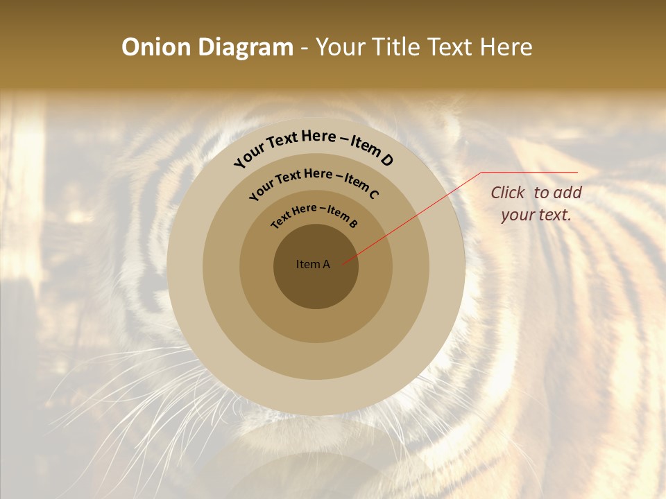 Zoo Feline Bengal PowerPoint Template