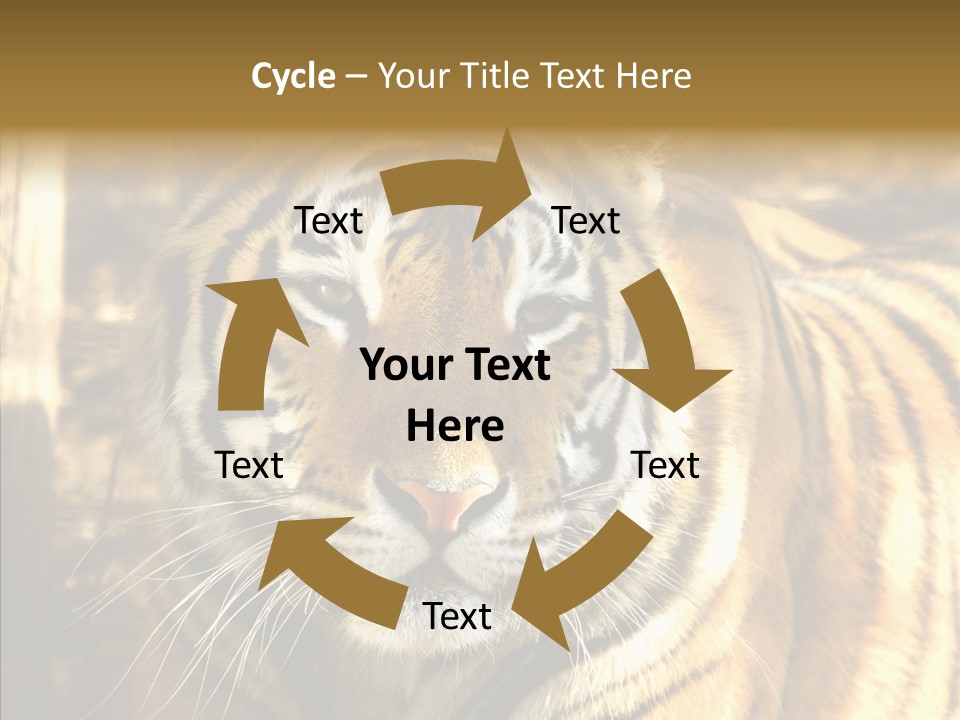 Zoo Feline Bengal PowerPoint Template