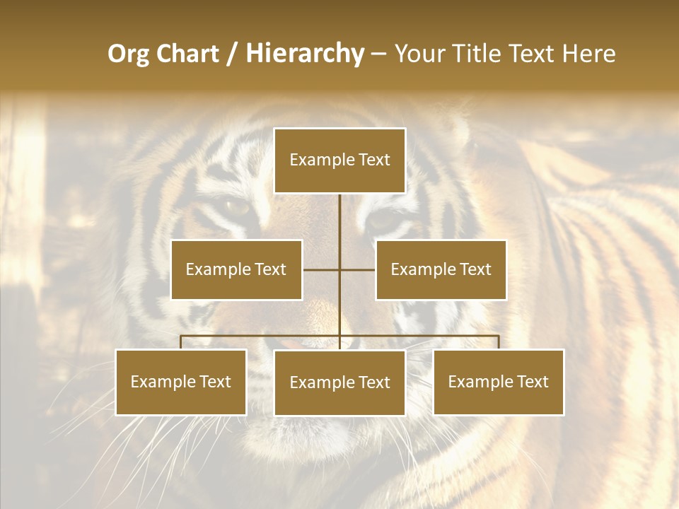 Zoo Feline Bengal PowerPoint Template