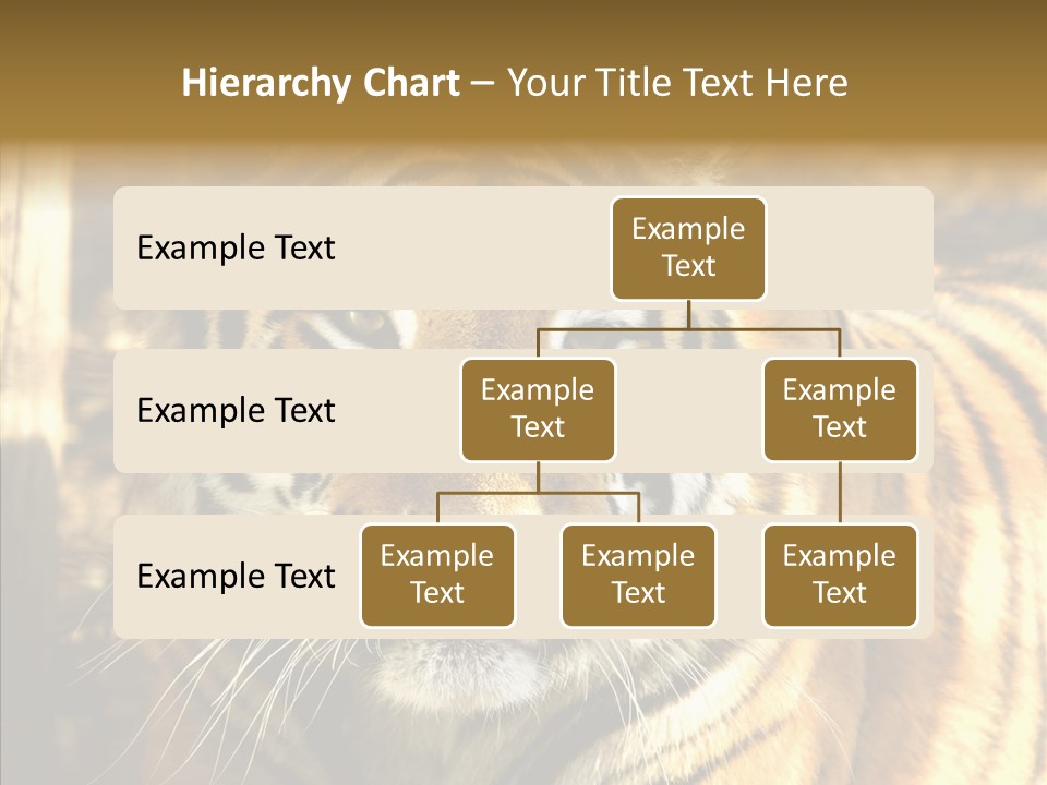 Zoo Feline Bengal PowerPoint Template