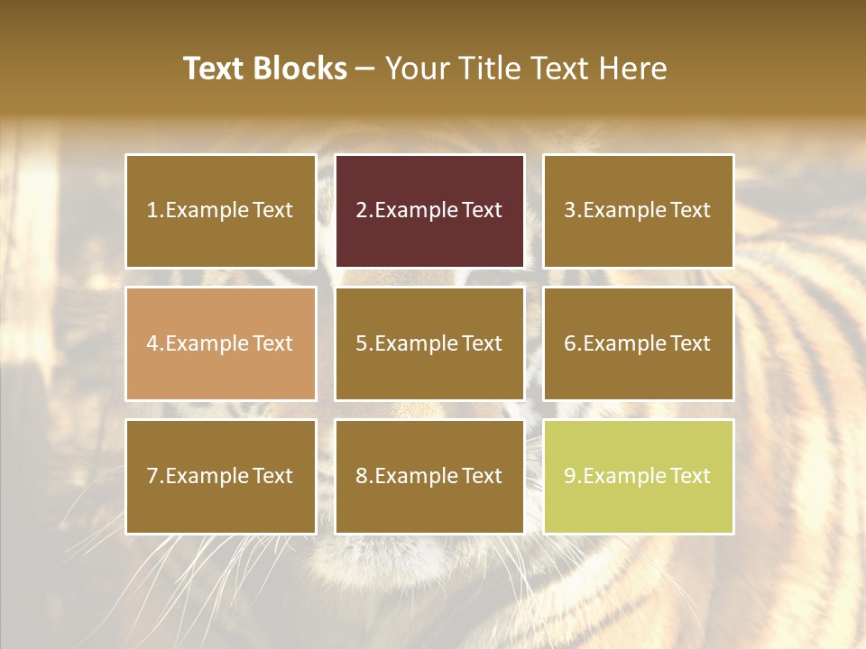 Zoo Feline Bengal PowerPoint Template