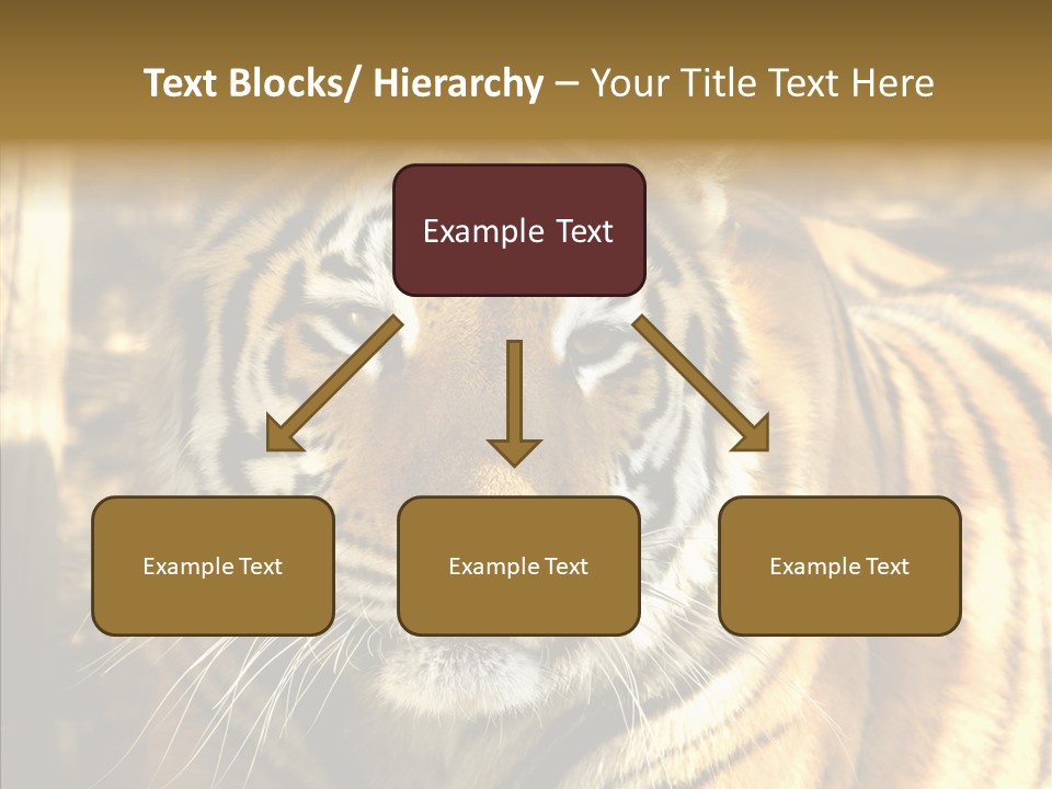 Zoo Feline Bengal PowerPoint Template