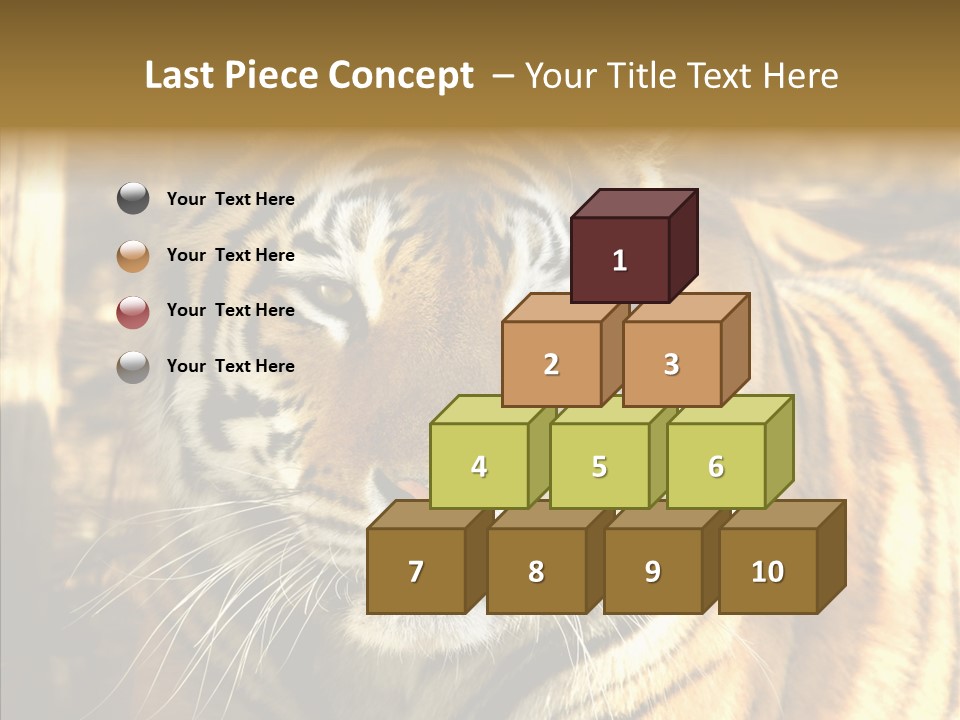 Zoo Feline Bengal PowerPoint Template