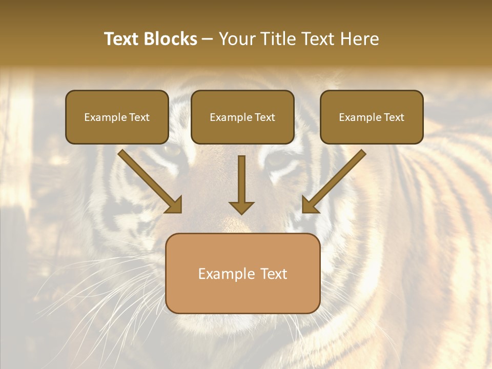 Zoo Feline Bengal PowerPoint Template