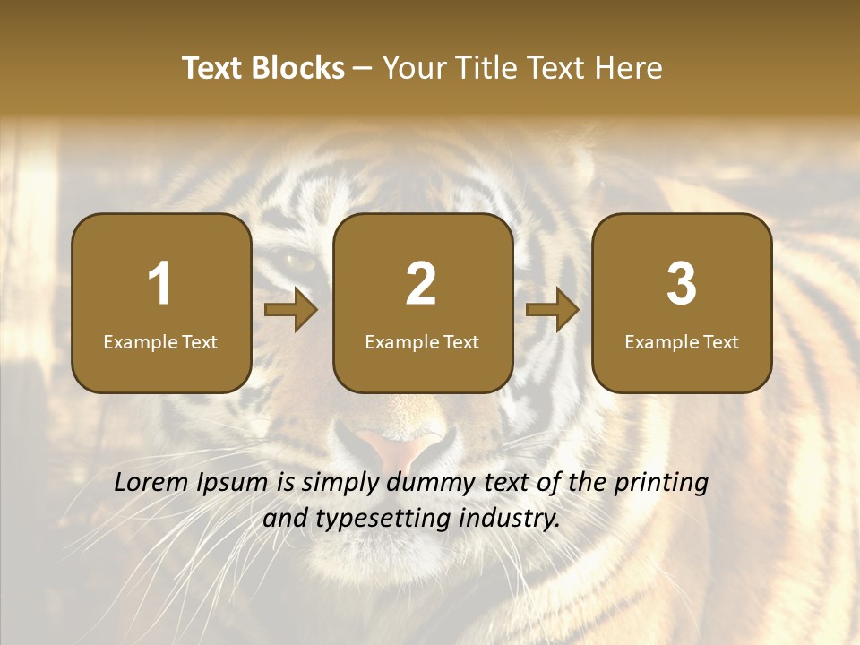 Zoo Feline Bengal PowerPoint Template