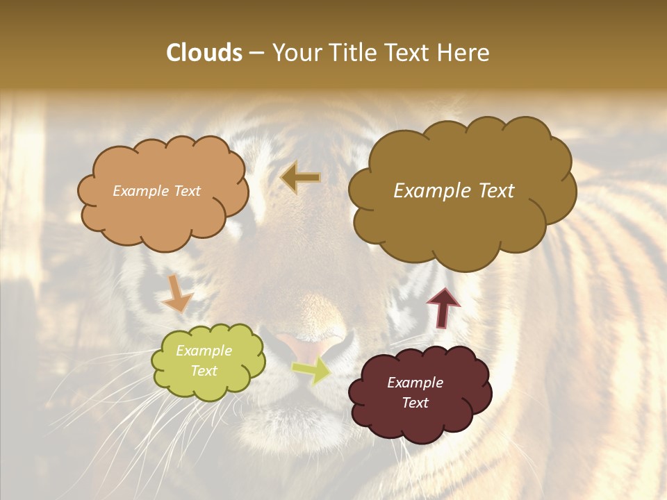 Zoo Feline Bengal PowerPoint Template