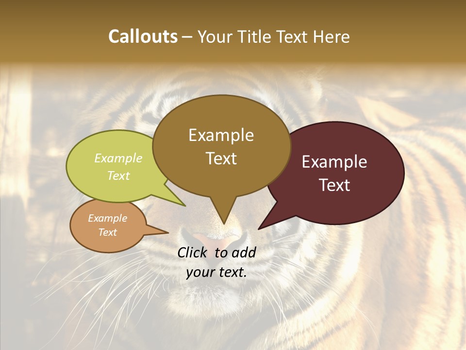 Zoo Feline Bengal PowerPoint Template