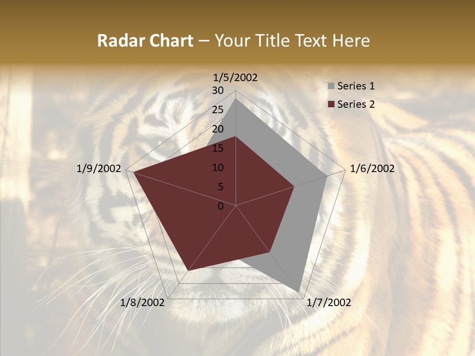 Zoo Feline Bengal PowerPoint Template