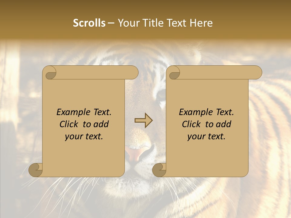 Zoo Feline Bengal PowerPoint Template