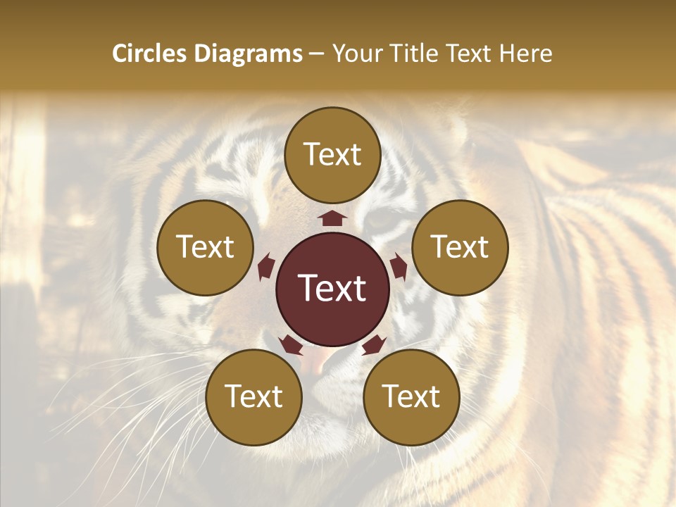 Zoo Feline Bengal PowerPoint Template