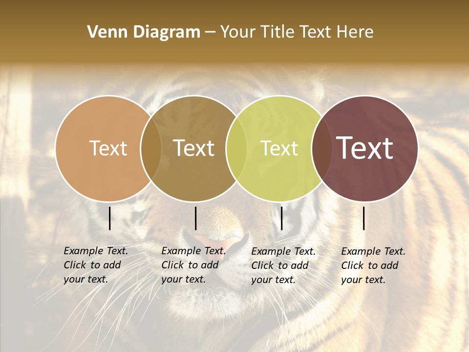 Zoo Feline Bengal PowerPoint Template