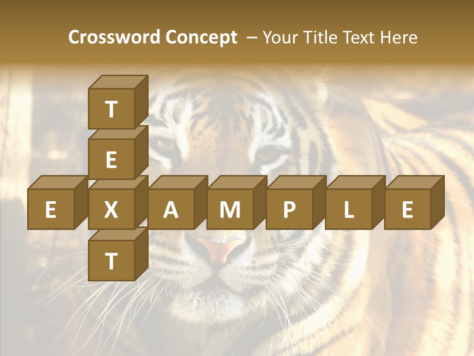 Zoo Feline Bengal PowerPoint Template