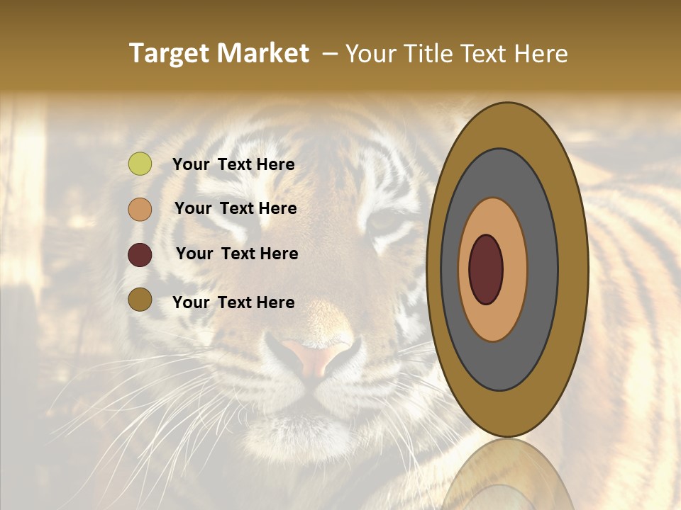 Zoo Feline Bengal PowerPoint Template