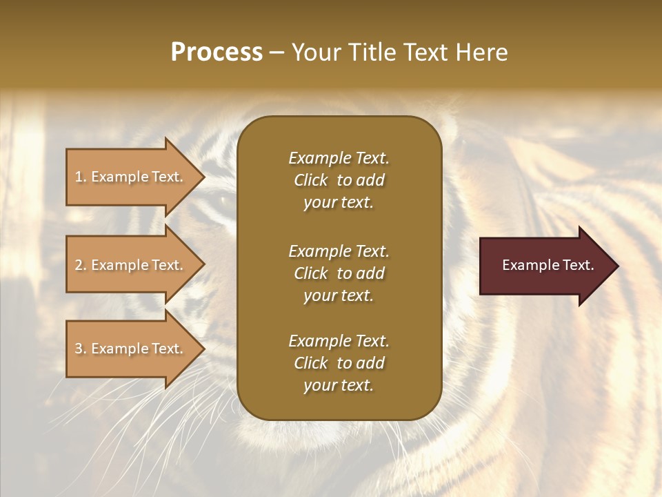 Zoo Feline Bengal PowerPoint Template