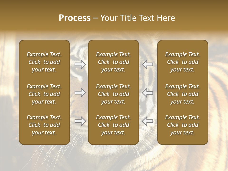 Zoo Feline Bengal PowerPoint Template