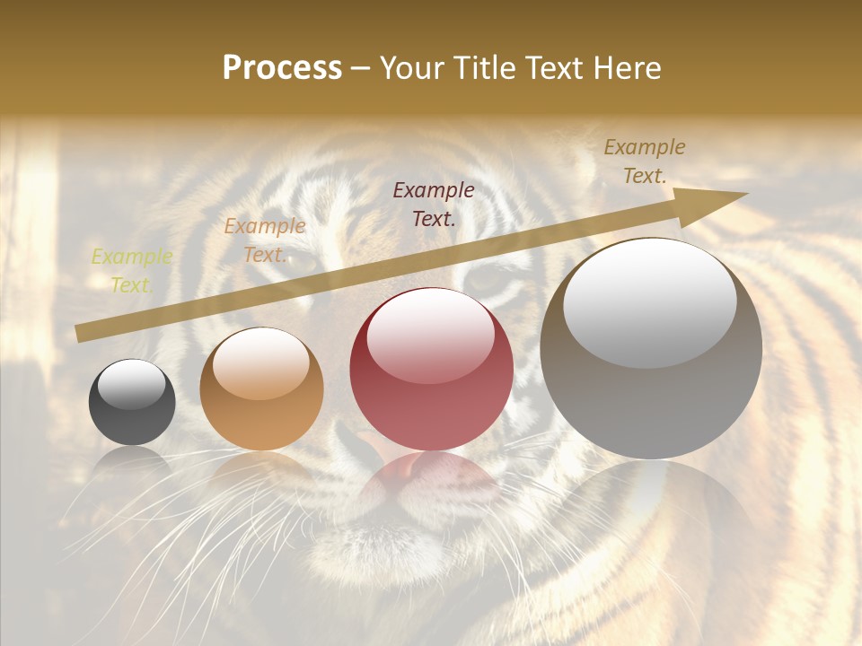 Zoo Feline Bengal PowerPoint Template