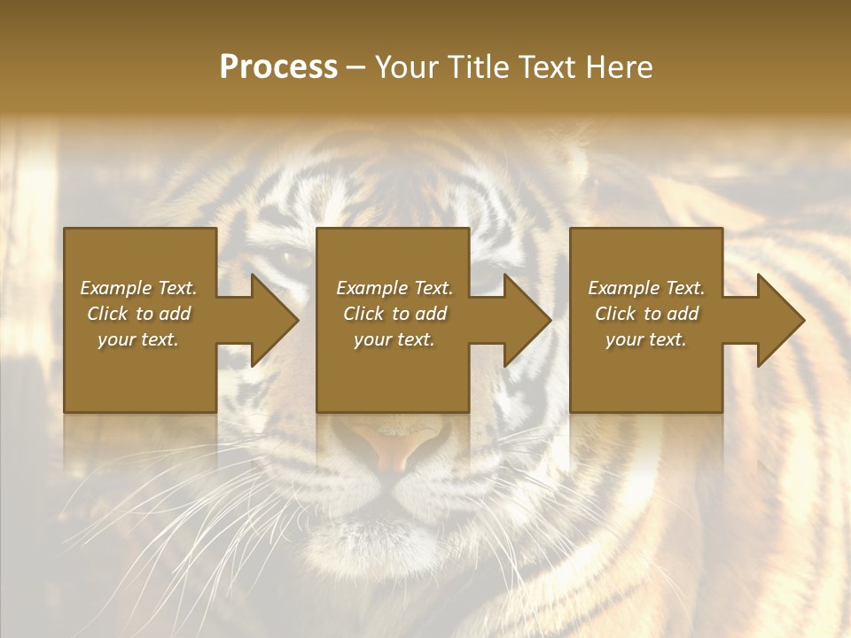 Zoo Feline Bengal PowerPoint Template
