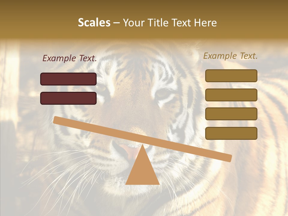 Zoo Feline Bengal PowerPoint Template