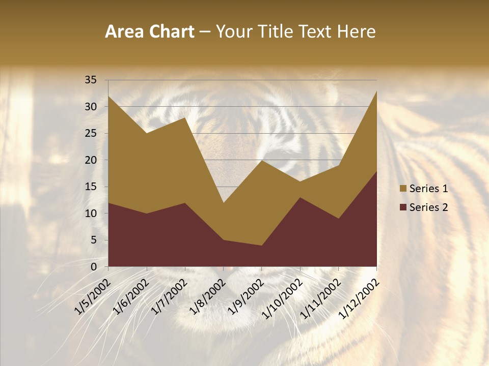 Zoo Feline Bengal PowerPoint Template
