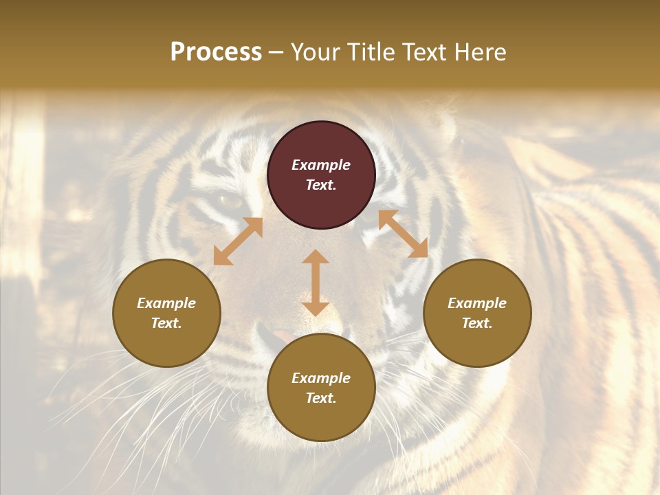 Zoo Feline Bengal PowerPoint Template