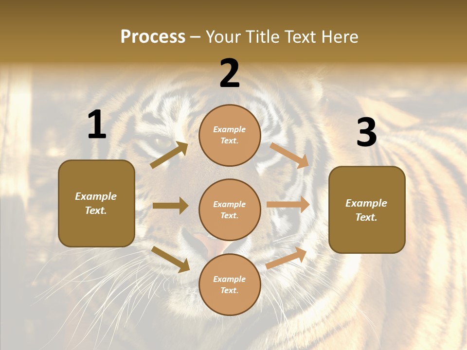 Zoo Feline Bengal PowerPoint Template