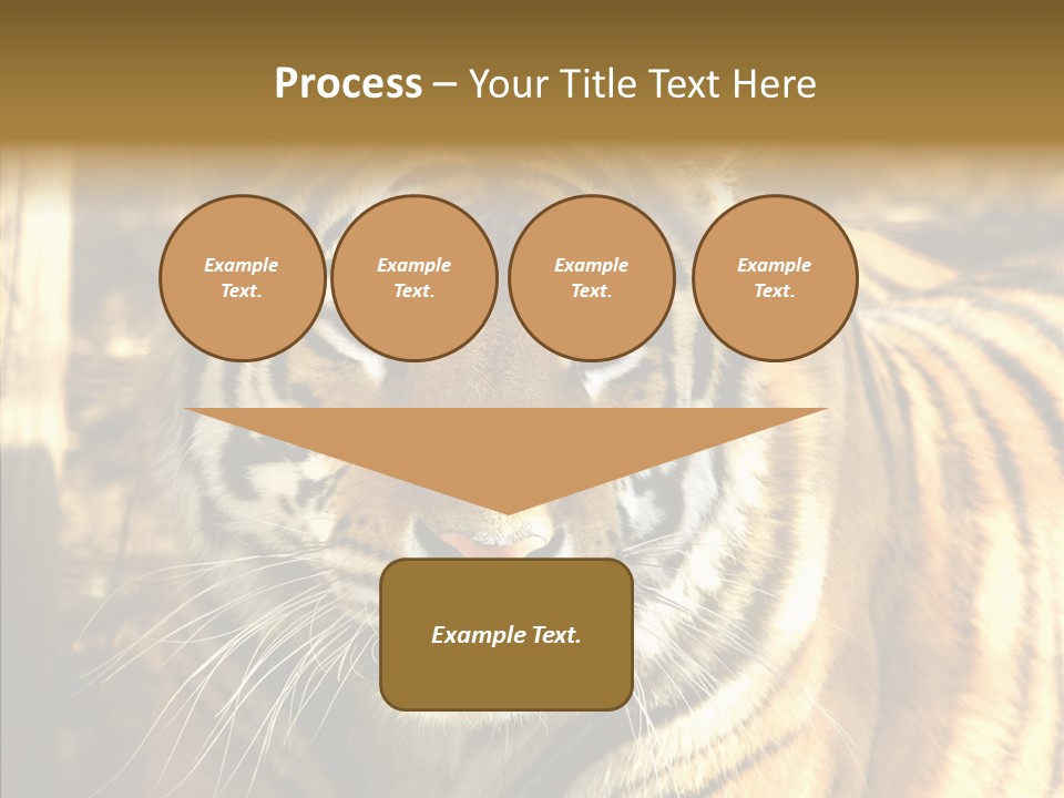 Zoo Feline Bengal PowerPoint Template