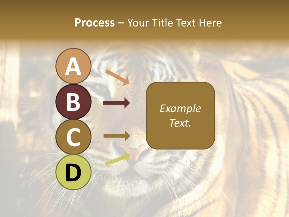 Zoo Feline Bengal PowerPoint Template