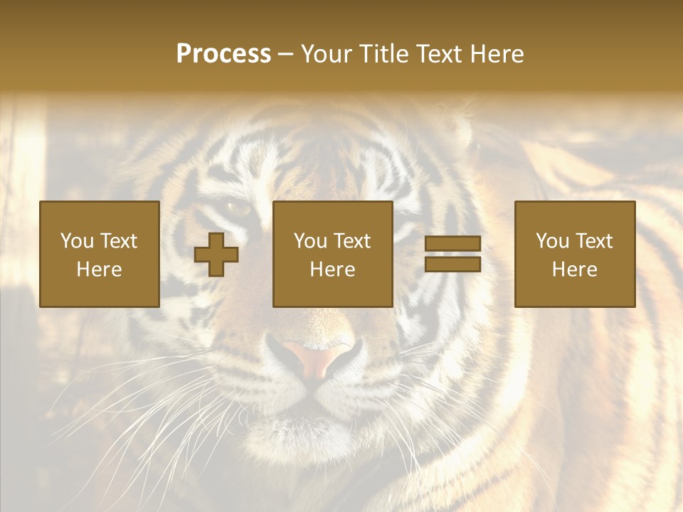 Zoo Feline Bengal PowerPoint Template