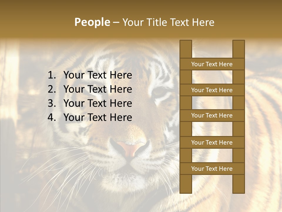Zoo Feline Bengal PowerPoint Template