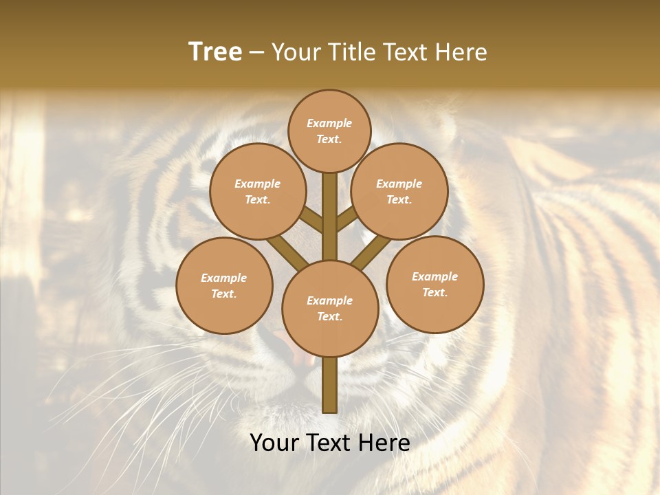 Zoo Feline Bengal PowerPoint Template