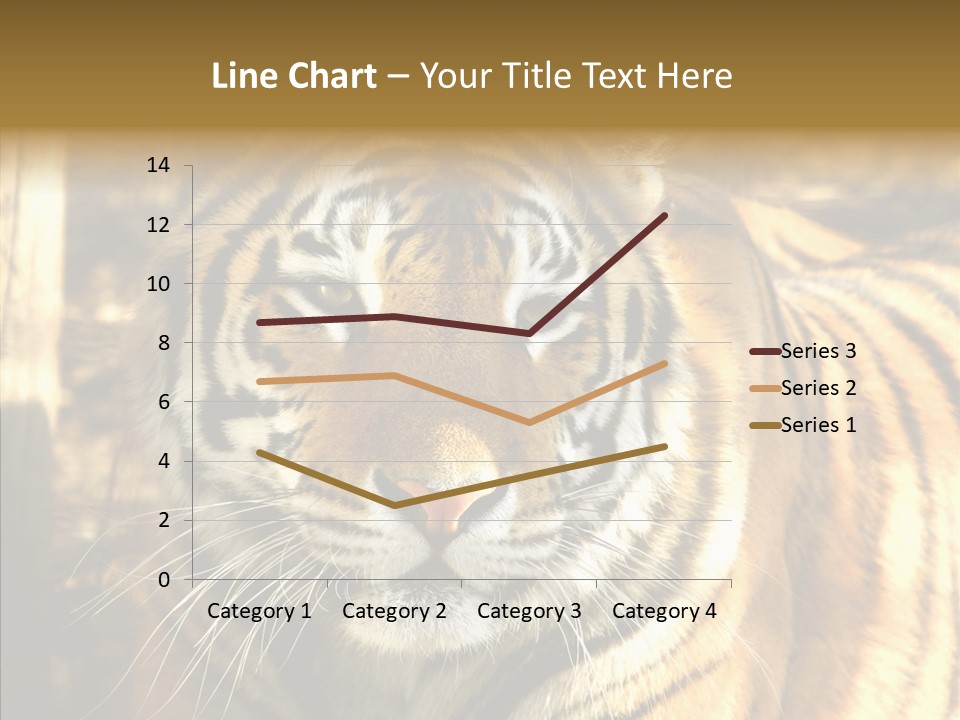 Zoo Feline Bengal PowerPoint Template
