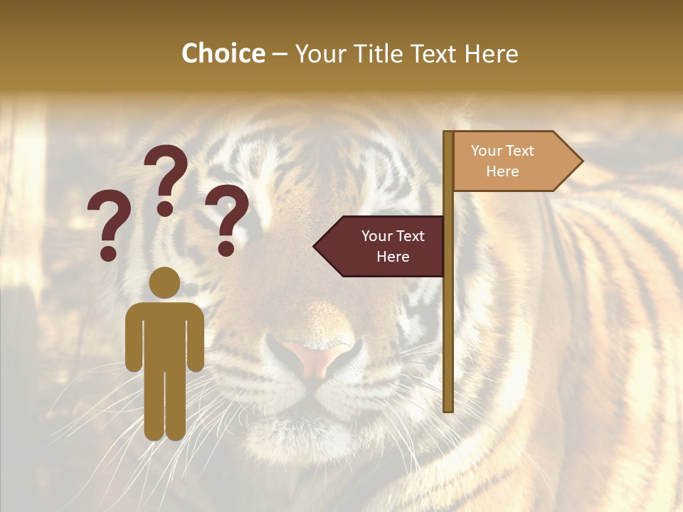 Zoo Feline Bengal PowerPoint Template